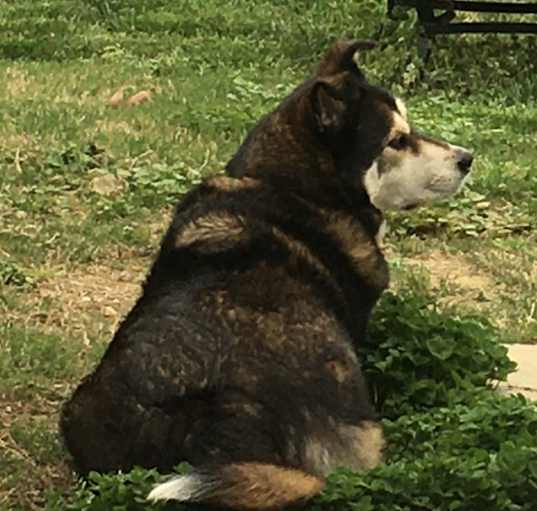 Photo of Nakita 