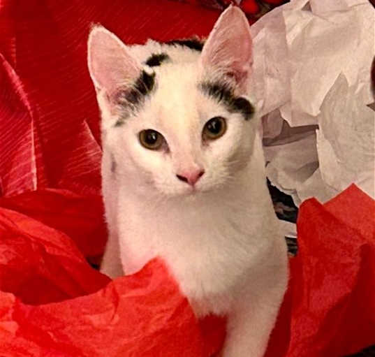 Photo of Fiona
