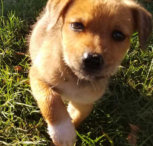 Photo of Parker