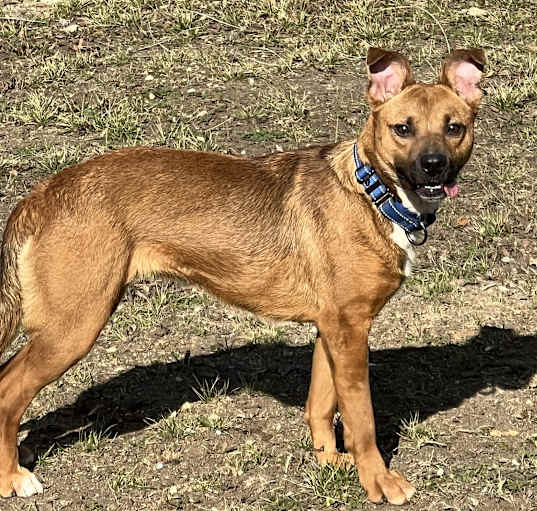 Photo of Cora