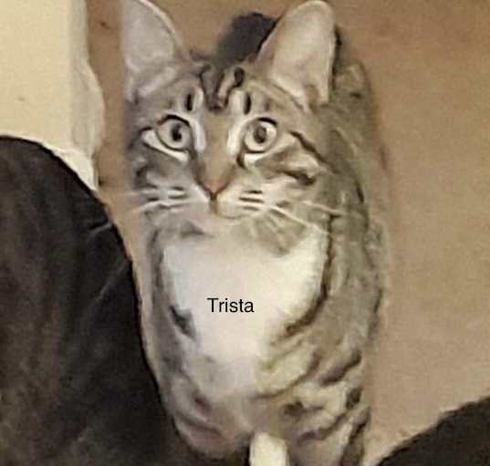 Photo of Trista