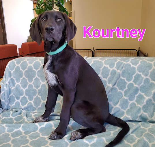 Photo of Kourtney