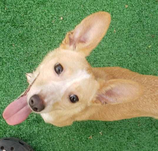 Photo of Lety