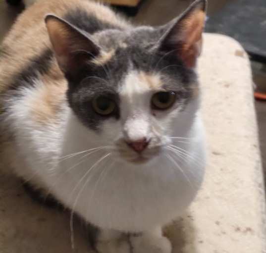 Photo of Macy