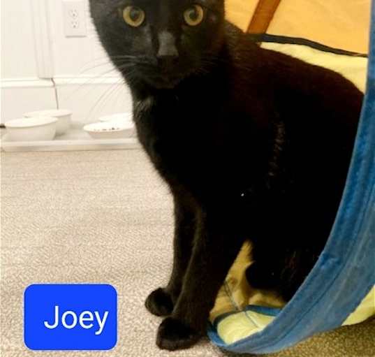 Photo of Joseph 'Joey'