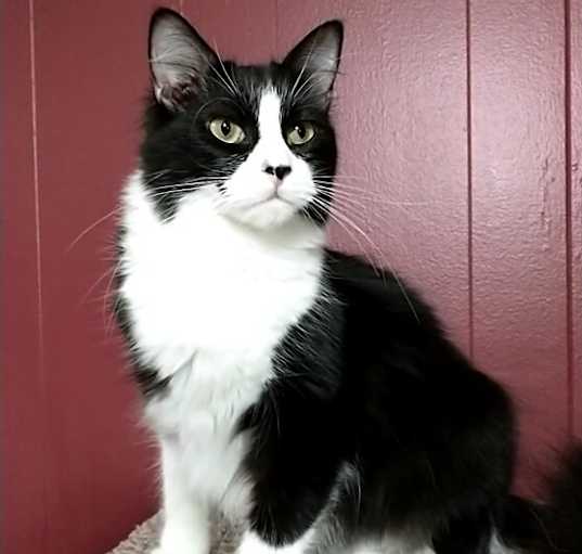 Photo of Jamison aka Jamie