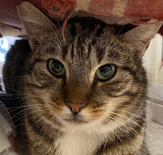 Photo of JEFFIE