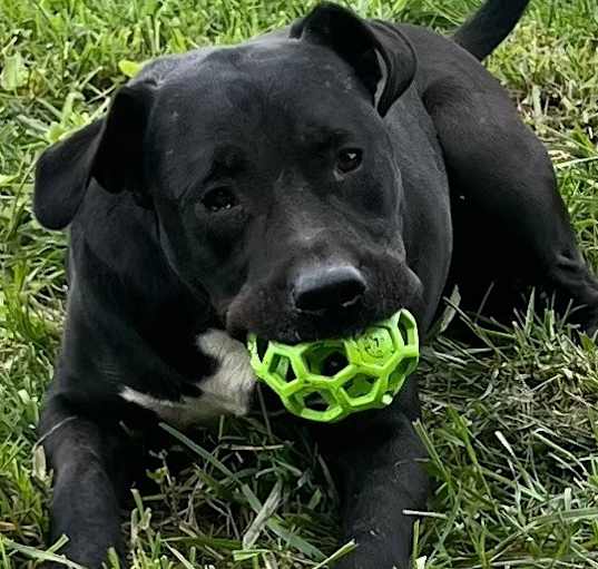 Photo of WRANGLER