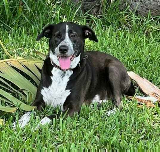 Photo of Lily Bahama Mama