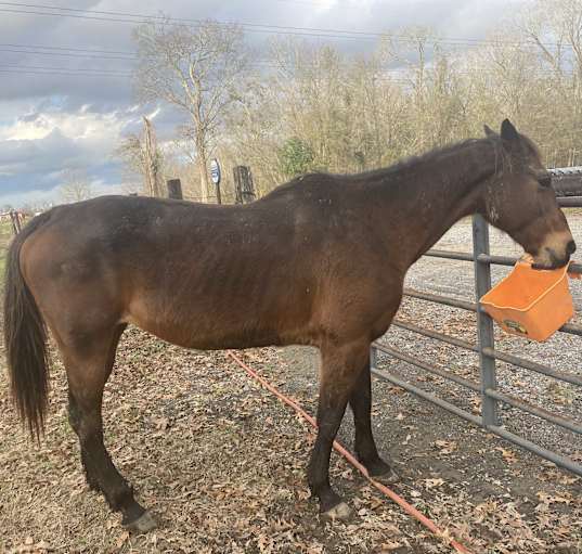 Photo of Charm