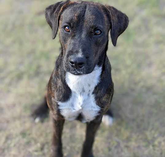 Photo of Dimitri