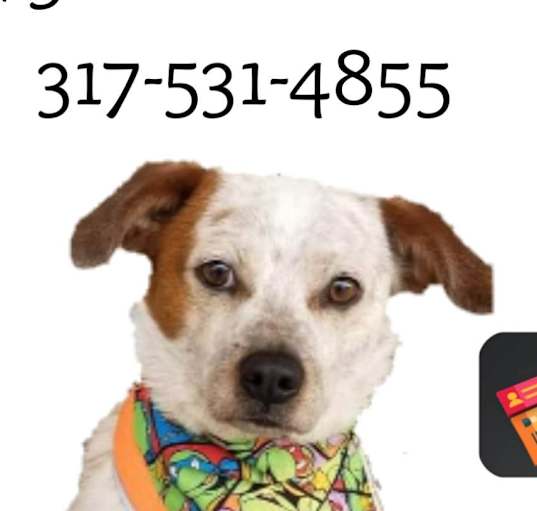 Photo of Sid $1000 Reward