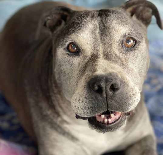 Photo of Sammie