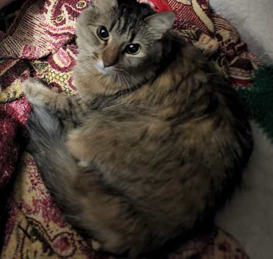 Photo of Aerith