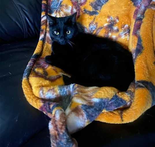 Photo of Bridgette