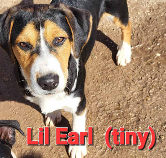 Photo of Lil Earl