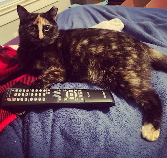 Photo of BANSHEE