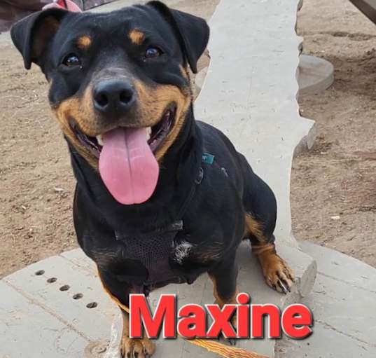 Photo of Maxine