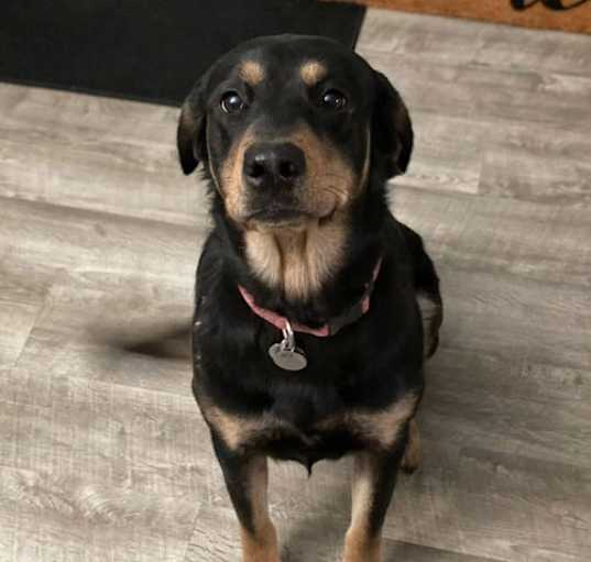 Photo of Ellie Benelli