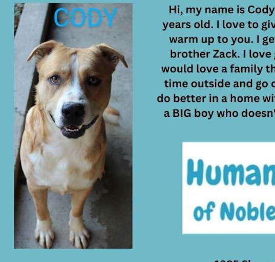 Photo of Cody