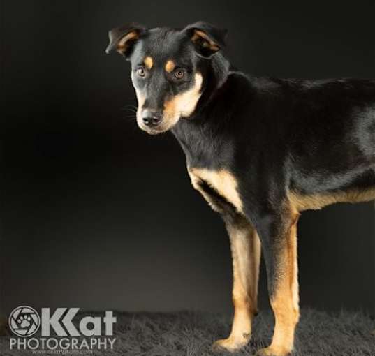 Photo of Penny