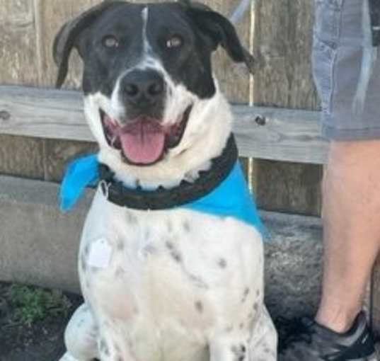 Photo of Jasper