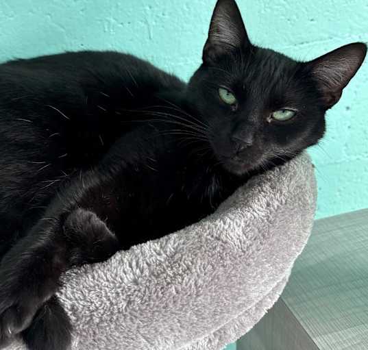 Photo of Sundae