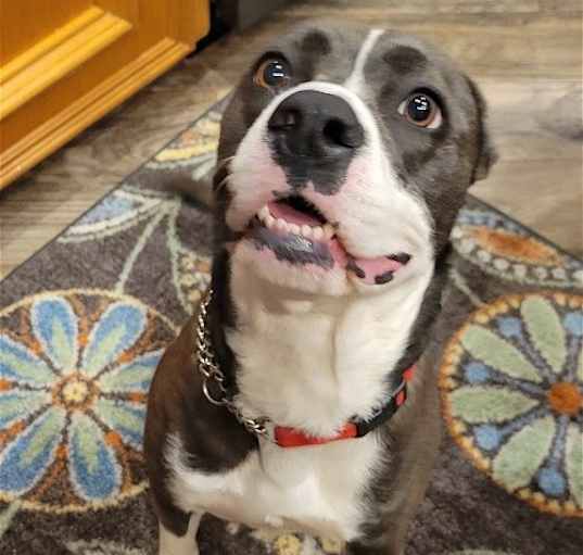 Photo of TEETER