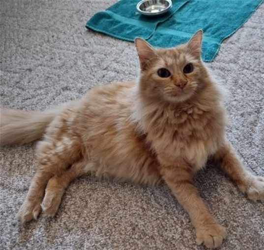 Photo of Charm