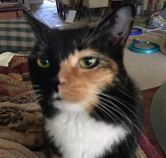 Photo of MYRA (COURTESY POST)