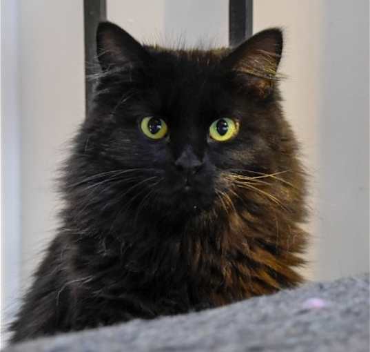 Photo of Leela