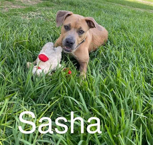 Photo of Sasha