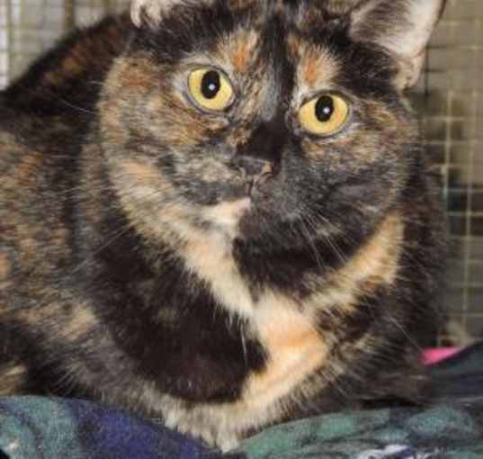 Photo of Esperanza
