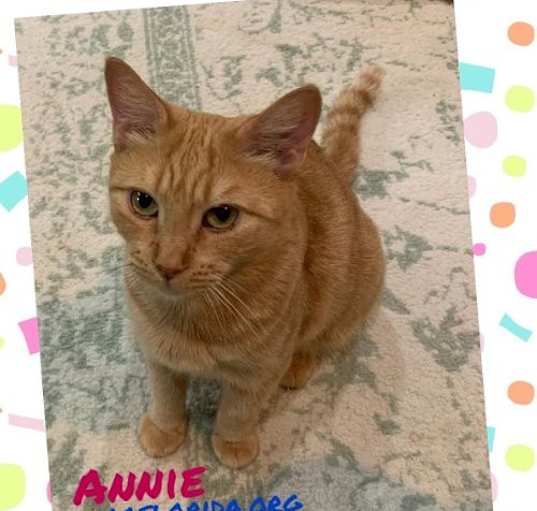 Photo of Annie