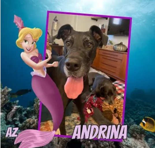 Photo of Andrina