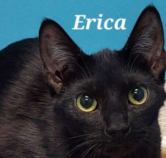 Photo of Erica