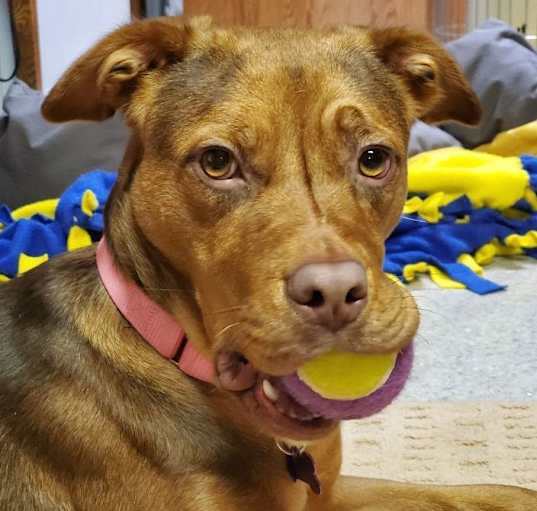 Photo of Kali