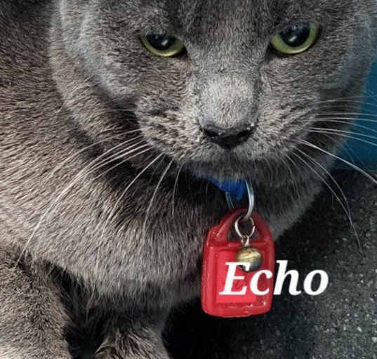 Photo of Echo