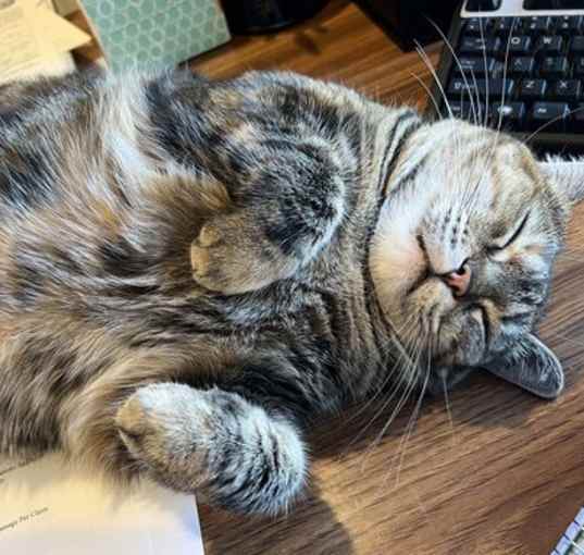 Photo of Dutchess