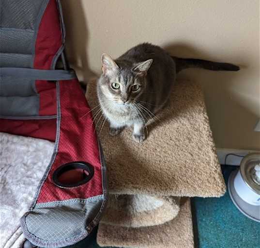 Photo of NALA