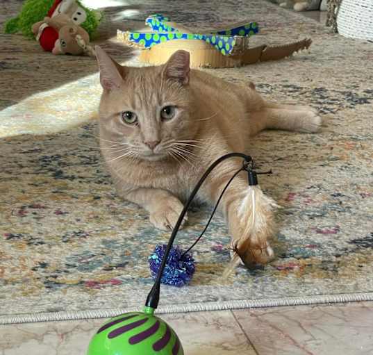 Photo of Luca