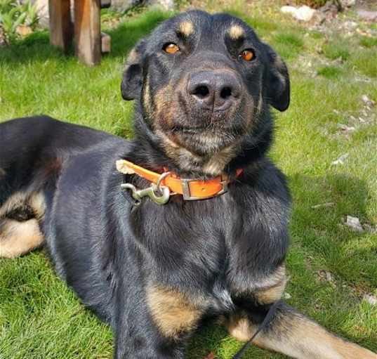 Photo of Dilly