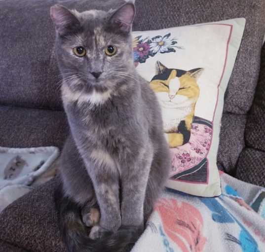 Photo of kumico