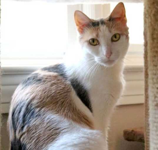 Photo of Mimi