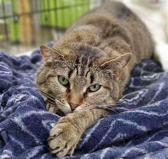 Photo of Dora