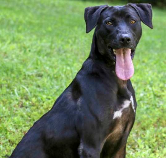 Photo of Hazel