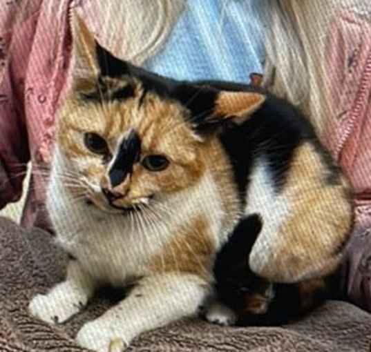 Photo of Cindy
