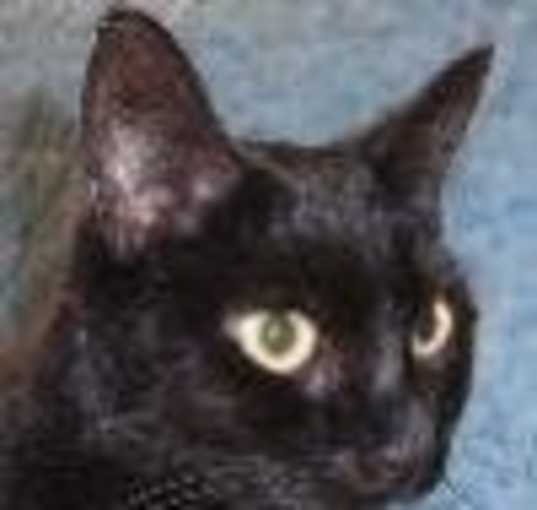 Photo of Momma J