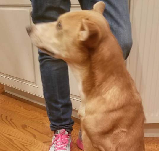 Photo of Bubs