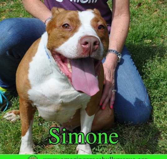 Photo of Simone